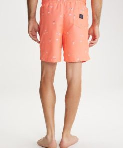 Themodernwardrobe.shopc044f8f319 2